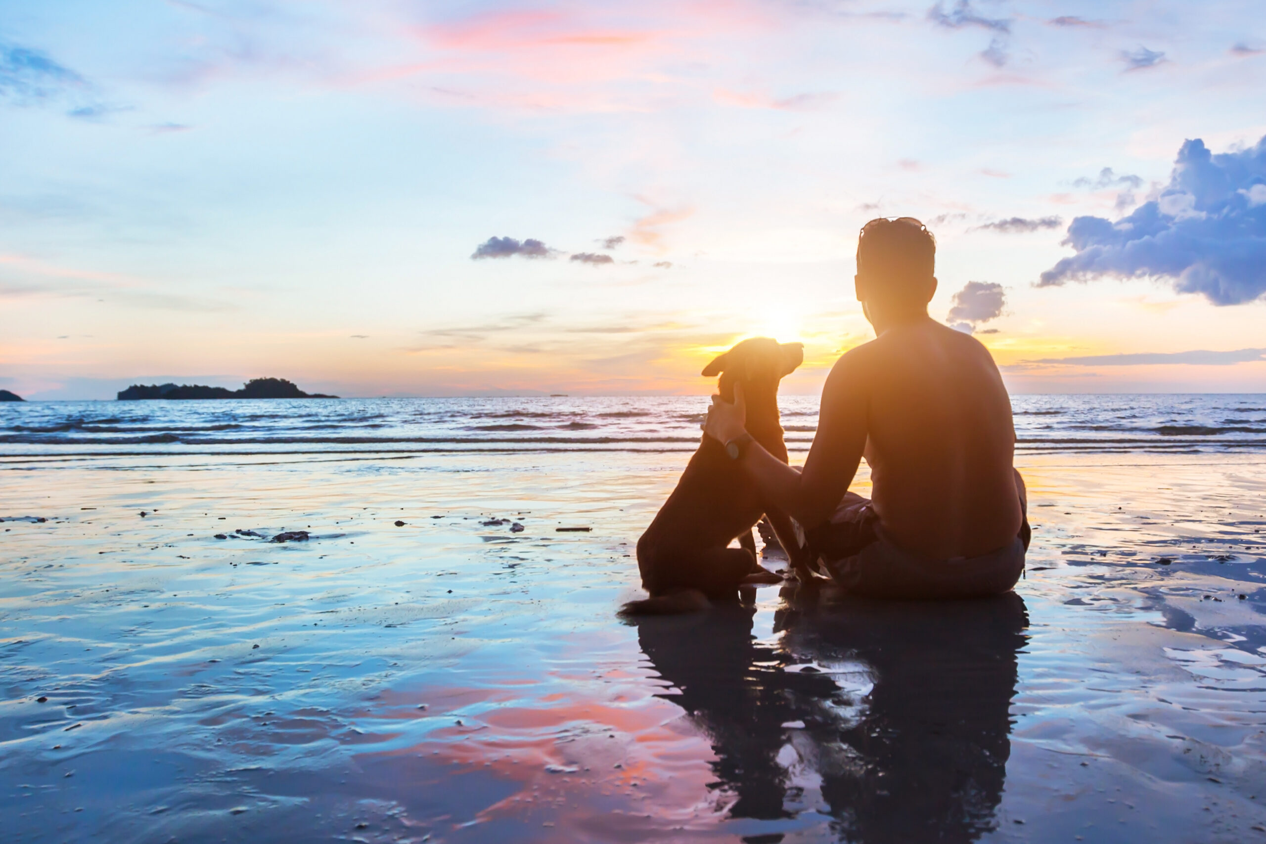 friendship concept, man and dog sitting together on the beach at sunset