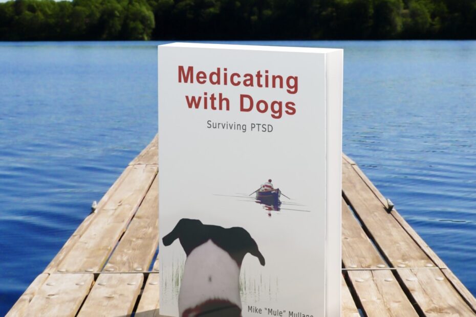 Medicating with Dogs Cover  dock